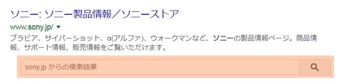 検索結果のサイト内検索窓表示例