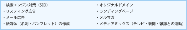 ・検索エンジン対策（SEO）・リスティング広告・メール広告・紙媒体（名刺・パンフレット）の作成・オリジナルドメイン・ランディングページ・メルマガ・メディアミックス（テレビ・新聞・雑誌との連動）